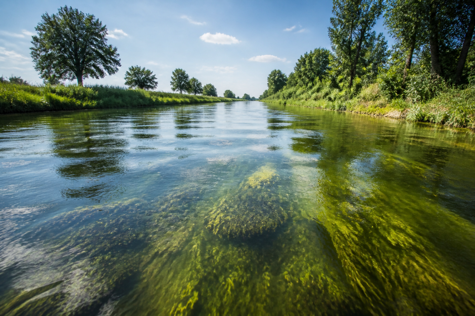 Sonnenexponierter, begradigter Niederungskanal mit wenig Uferschatten und warm wirkender Wasseroberfläche