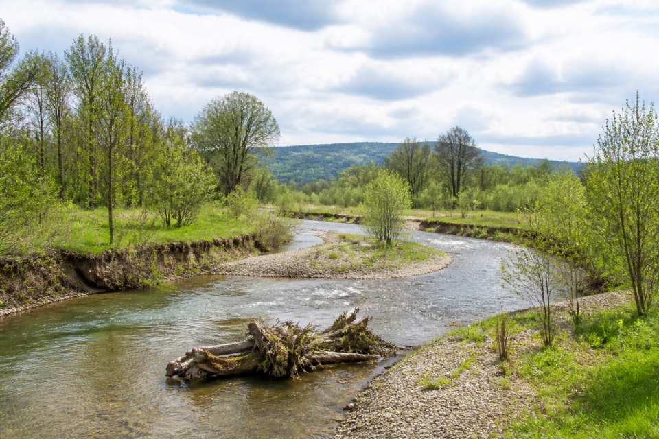 Renaturierter Flussabschnitt mit neuem Mäander, Totholzstrukturen und flacher Auenbank
