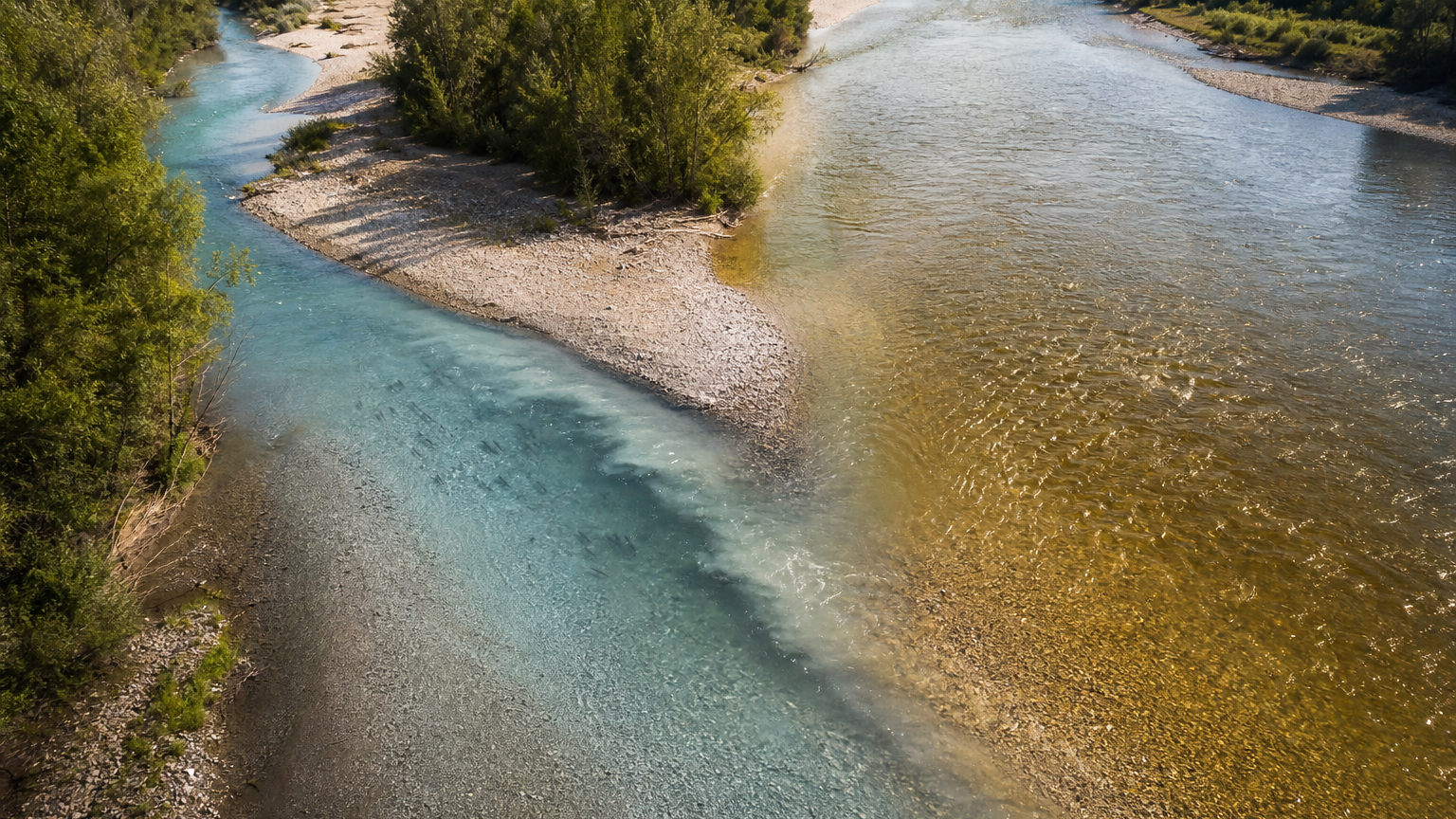 Sommerlich erwärmter Fluss mit schattigem Nebenbach als kühler Rückzugsort für Fische