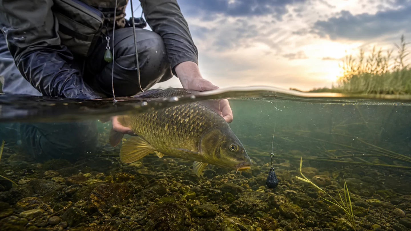 Angler sortiert verschiedene bleifreie Gewichte am Ufer eines Sees