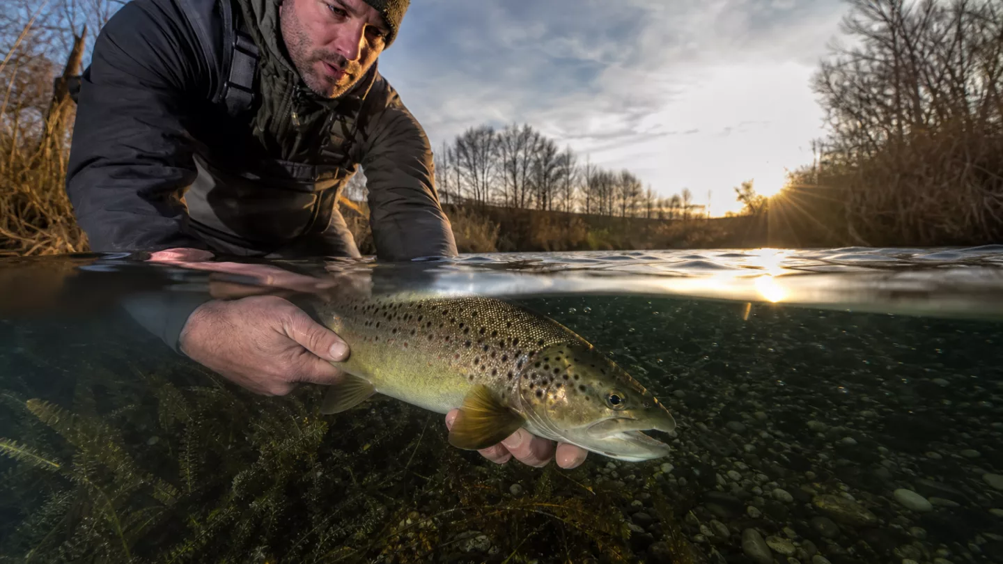 Angler hält Fisch behutsam über einem Eimer mit Wasser am Seeufer