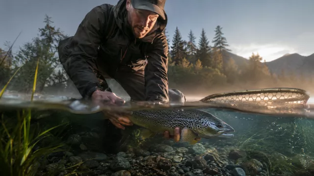 Schonende Betäubung beim Catch-and-Release: Methoden, Praxis und Ethik
